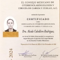 Ampliar imagen: certificate 1