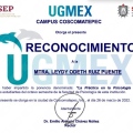 Ampliar imagen: certificate 1