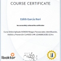 Ampliar imagen: certificate 3