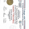 Ampliar imagen: certificate 8