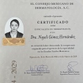 Ampliar imagen: certificate 1