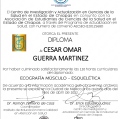 Ampliar imagen: certificate 9