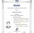 Ampliar imagen: certificate 5