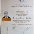 Ampliar imagen: certificate 1
