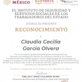 Ampliar imagen: certificate 11