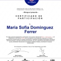 Ampliar imagen: certificate 5