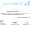 Ampliar imagen: certificate 5