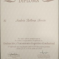 Ampliar imagen: certificate 3