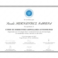 Ampliar imagen: certificate 6