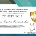 Ampliar imagen: certificate 11