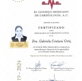Ampliar imagen: certificate 5