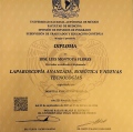 Ampliar imagen: certificate 2