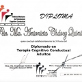 Ampliar imagen: certificate 6