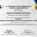 Ampliar imagen: certificate 4