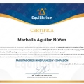 Ampliar imagen: certificate 12