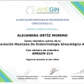 Ampliar imagen: certificate 3
