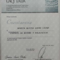 Ampliar imagen: certificate 10