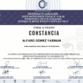 Ampliar imagen: certificate 20
