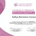 Ampliar imagen: certificate 4