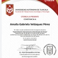 Ampliar imagen: certificate 7