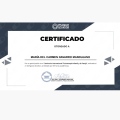 Ampliar imagen: certificate 5