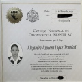 Ampliar imagen: certificate 3