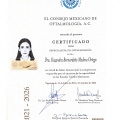 Ampliar imagen: certificate 2