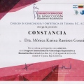 Ampliar imagen: certificate 34