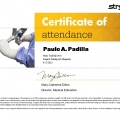 Ampliar imagen: certificate 5