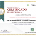 Ampliar imagen: certificate 1