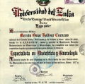 Ampliar imagen: certificate 5