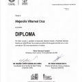Ampliar imagen: certificate 3