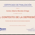 Ampliar imagen: certificate 7