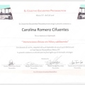 Ampliar imagen: certificate 2