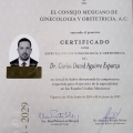 Ampliar imagen: certificate 1