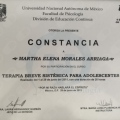 Ampliar imagen: certificate 9
