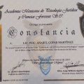 Ampliar imagen: certificate 8