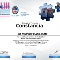 Ampliar imagen: certificate 4