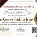 Ampliar imagen: certificate 2
