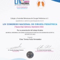 Ampliar imagen: certificate 6