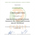 Ampliar imagen: certificate 11