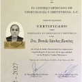 Ampliar imagen: certificate 1