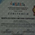 Ampliar imagen: certificate 2