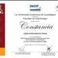 Ampliar imagen: certificate 4