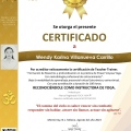Ampliar imagen: certificate 16
