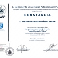 Ampliar imagen: certificate 7