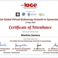 Ampliar imagen: certificate 7