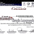 Ampliar imagen: certificate 7