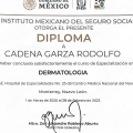 Ampliar imagen: certificate 3