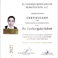 Ampliar imagen: certificate 2